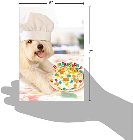 נובלוורקס-1 כרטיס יום הולדת חמוד עם מעטפה-חיות בר וחיות מחמד מצחיקות, ברכת יום הולדת-שף כלבים ג3200