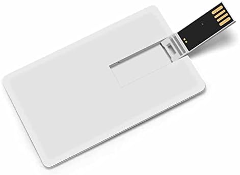 Pitbull Maryland Flag כרטיס אשראי USB כונני Flash כונני זיכרון מותאם אישית מתנות תאגידיות מפתח ומנות