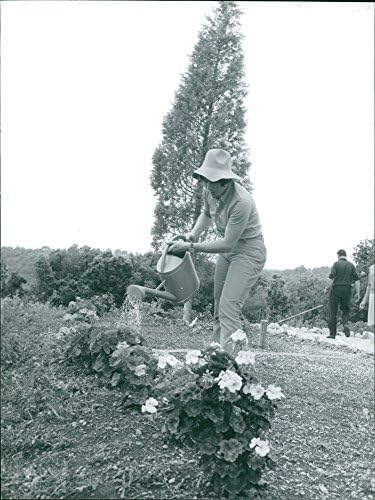 תצלום וינטג 'של מריאלה גויטשל משקיע את הצמחים.