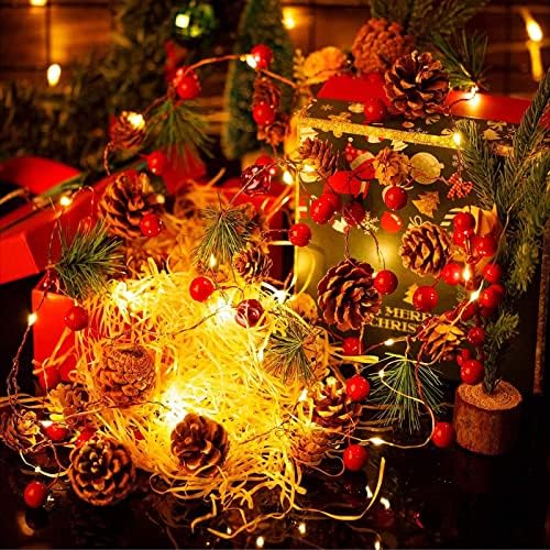 30 גרנד חג המולד LED עם אורות 10ft אורות PineCone סוללת מיתר המופעלת עם פעמוני פירות יער אדומים