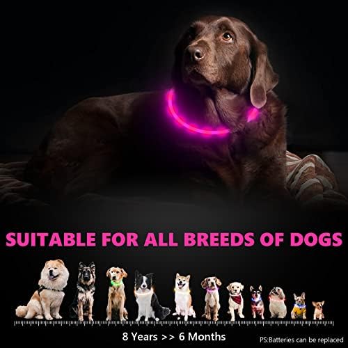 צווארוני כלבים מדליקים, צווארון כלבים LED לבטיחות לחיות מחמד באור צווארון כלבים נטען כהה, אטום למים,