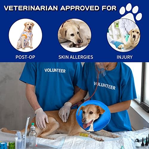 כלב קונוס צווארון עבור לאחר ניתוח - רך כלב קונוסים עבור בינוני כלב וחתולים - מתנפח האליזבתנית כלב קונוס