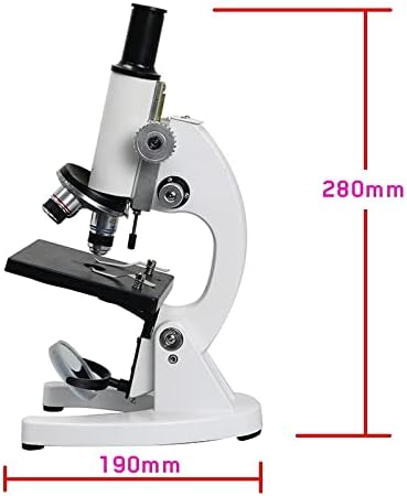 מיקרוסקופ אביזרי 40-2000 פעמים ביולוגי מיקרוסקופ מעבדה עם 5 חתיכה זכוכית מיקרוסקופ מוכן שקופיות מעבדה