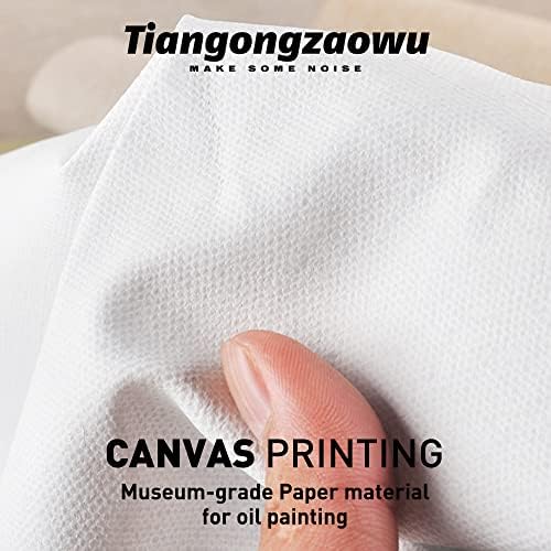 Tiangongzaowu אלבום מוזיקה אלבום פוסטר קנבס HD עיצוב קיר הדפס, לא ממוסגר 16x16 אינץ '