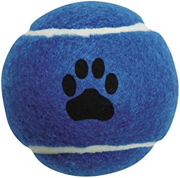 Zanies Guppy Pride Gride כדורי טניס לכלבים, 6 חבילות-כדורי טניס בקוטר 2.5 אינץ 'תואמים את צבעי דגל הגאווה