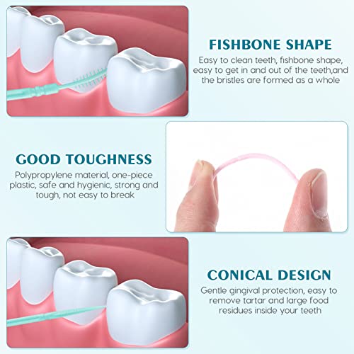ריפוי 1000 יחידות קיסמים שיניים קצה קצה קיסמים מברשת שיניים בין שיניים בין שיניים בין חוט דנטלי מברשת