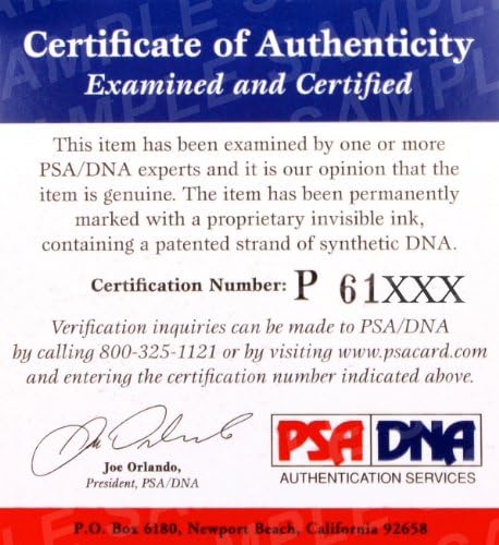 דיקי נולס 1980 פיליז חתימה/חתומה בייסבול PSA/DNA JSA PASS 124637 - כדורי בייסבול עם חתימה